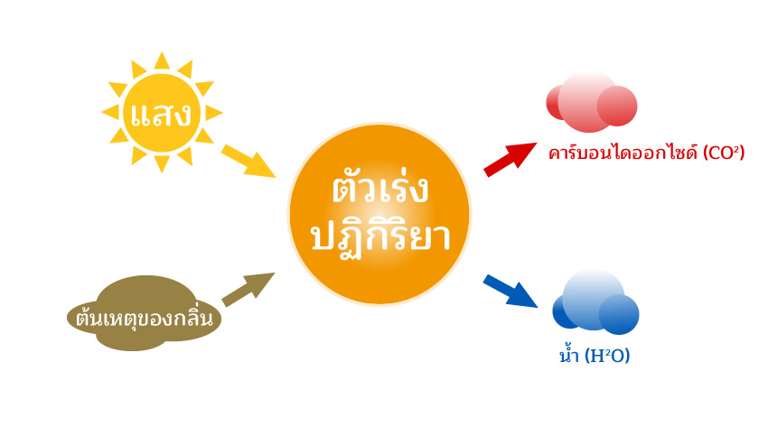 ตัวเร่งปฏิกิริยา